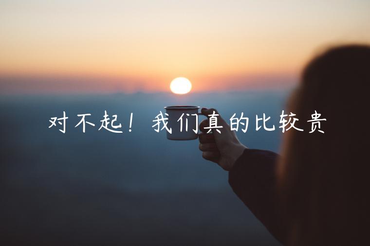 對(duì)不起！我們真的比較貴